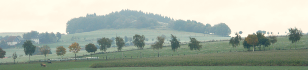 Landschaft bei Marsberg. Foto: Margit Philipps © LWL