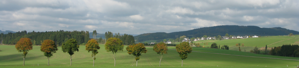 Landschaft bei Schmallenberg. Foto: Margit Philipps © LWL